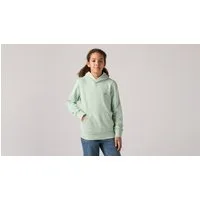 Levi's® Kids Hoodie LVB MINI BATWING PULL OVER HOO for BOYS