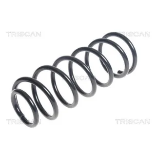 Triscan Feder hinten Kia Picanto 2