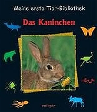 Das Kaninchen [Gebundene Ausgabe] [2005] Tracqui Valerie Brauner Anne
