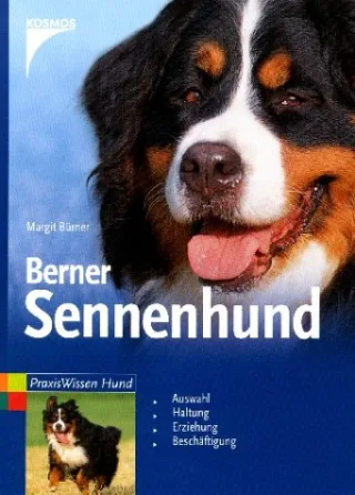 Berner Sennenhund