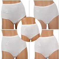 hemmy Fashion Hüftslip BHS-05152 (5-St) Damen Slips - 100% Baumwolle - hohe Taille mit Gummibund, Hüftslip