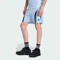 adidas Originals Shorts TEAMGEIST ADICOLOR SHORTS (1-tlg)