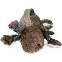 Teddys Rothenburg Kuscheltier Kuscheltier Axolotl braun 28 cm Stoffaxolotl