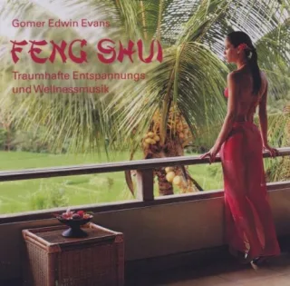 Feng Shui [Audio CD] EvansGomer Edwin