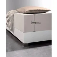 fleuresse Spannbettlaken Comfort XL, Mako-Jersey, Gummizug: rundum, (1 Stück), Mako-Jersey, für Matratzen bis 40 cm Höhe, Bettlaken, Spannbetttuch