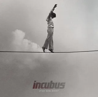 If Not NowWhen? [Audio CD] Incubus