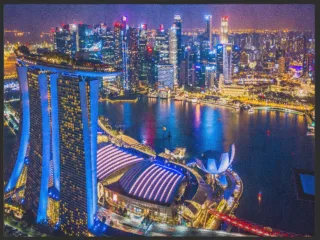 Fussmatte Singapur 4999 | Größe: 60 cm x 45 cm