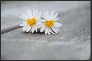 Fussmatte Hochzeit 4194 | Größe: 60 cm x 45 cm