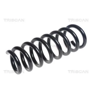 Triscan Feder vorne BMW X5 E70 875011177