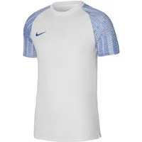 Nike Fußballtrikot Nike Performance Academy Trikot Kurzarm-Trikots Teamsport