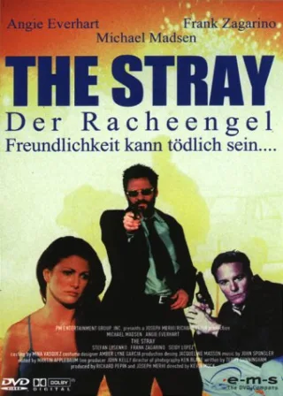 The Stray - Der Racheengel