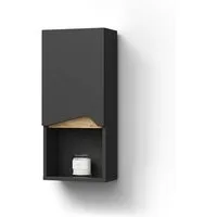 Livinity® Hängeschrank Timavo, Anthrazit/Anthrazit, 30 x 67 cm mit Tür und offenem Fach (1-St)