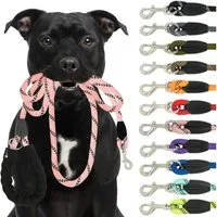 Reichstadt Hundeleine RS Pets Führleine Nylon 25RSP084, Nylon, Ergonomischer EVA-gepolsterter Griff für Blasenschutz