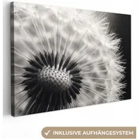OneMillionCanvasses® Leinwandbild Pusteblume - Schwarz - Weiß, Fotodruck (1 St), Leinwand Bilder Klein, Wand Dekoration Aesthetic 30x20 cm