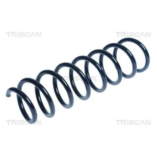 Triscan Feder hinten BMW 5er F10 875011152