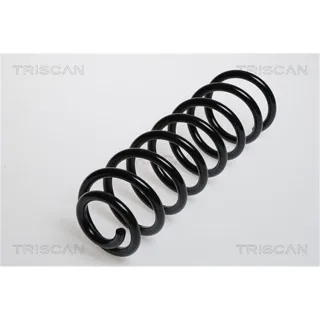 Triscan Feder hinten Mercedes A-Klasse W168