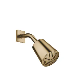Dornbracht Kopfbrause 28504670 28504670-39