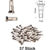 Büchel Fahrrad-Laufrad 37 Stück Speichen Nippel Felge Laufrad ROSTFREI 2,0 mm x 16mm MESSING