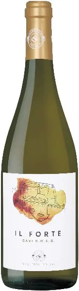 Produtorrio del Gavi II Forte Gavi DOCG Jg. 2022