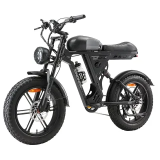 [EU DIRECT] SINOHON AB20 Electric Bike 48V 18AH 1000W Top Speed 25KM/H 20x4.0 Fat Tire Mileage 80KM 150KG Max Load
