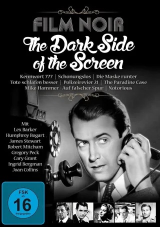 Film Noir - The Dark Side of the Screen [3 DVDs]