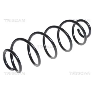 Triscan Feder hinten Citroen C3 875028248
