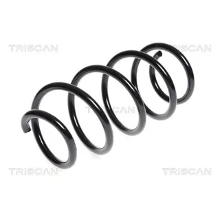 Triscan Feder vorne Audi A3 Seat Altea Leon 875029241