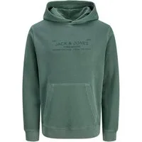Jack & Jones Kapuzensweatshirt JPRBLUAIDEN HOOD SWEAT Baumwolle, regular fit