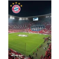 BERONAGE Tagesdecke FC Bayern München Decke Allianz Arena 150x200 cm Kuscheldecke Fußball, passend zur Bettwäsche, ideal für Sofa, Couch, Kinder-Bett, Auto