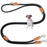 Leisegrün Hundeleine Hundeleine für kleine Hunde, Hundeleine 3m, 3-fach verstellbar, Nylon