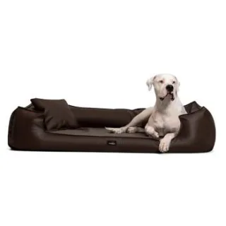 Tierlando GOOFY Kunstleder - Orthopädisches Hundebett >>inkl. Matratzenschoner