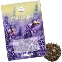 HappySeed Blumensamen 300x Lavendel Samen mit hoher Keimrate - Vielseitig einsetzbar, Blumen