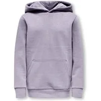 ONLY & SONS junior Kapuzensweatshirt OSJCERES (1-tlg., Geschenkidee)