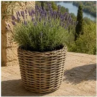 Van der Leeden Blumentopf 34x30cm Rattan Weide Sylter Korb Drypot 11L (Stück, 1 St., Packung), Indoor & Outdoor, Rattan, 11 L, Naturprodukt, incl. Kunststoffeimer