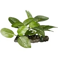 ReptiZoo Terrariendeko ReptiZoo Kunststoffpflanze "Helenia elliptica" – Terrariendekoration