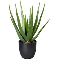 Künstliche Zimmerpflanze Aloe, Creativ green, Höhe 47 cm