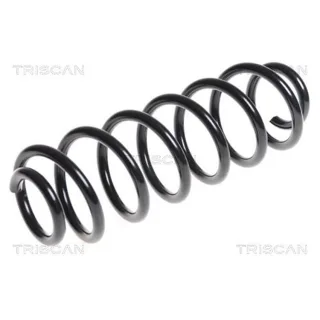 Triscan Feder hinten Peugeot 3008 875028179