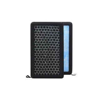 Air Filter N95 Grade HEPA Activated Carbon Honeycomb Mesh Advanced Filtration Clean Air Removal of Odors for Tesla Model