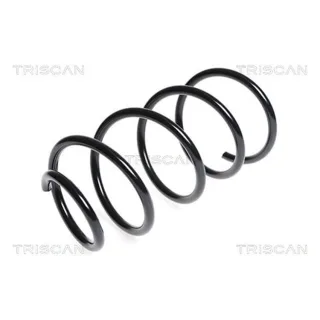 Triscan Feder vorne Mini 875011102