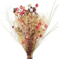 Trockenblume Trockenblumenstrauß Boho-Deko Erdbeerdistel & Flockenblume in, Viana, Höhe 50 cm