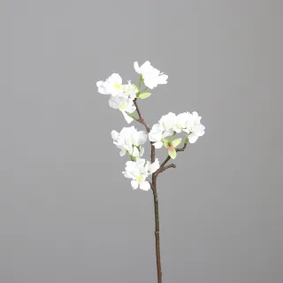 40 cm