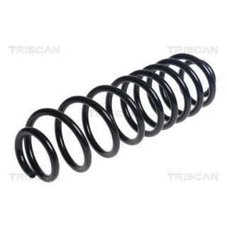 Triscan Feder hinten Ford Transit 875016155