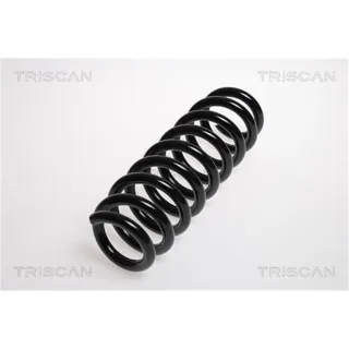 Triscan Feder hinten BMW 1er E81 E87