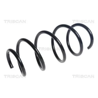 Triscan Feder vorne Opel Corsa E 875024202