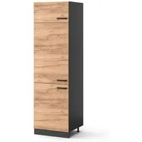 Vicco Kühlumbauschrank R-Line, Goldkraft Eiche/Anthrazit, 60 cm (1-St)