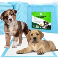 Moto Active Tierdecke Hundetoilette Welpenunterlage Trainingsunterlage Hundepads, Vliesstoff, Zellstoff, PE-Folie, Hygiene-Unterlage Hund Katze Saugfähig Auslaufsicher M L XL