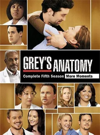 Grey's Anatomy: The Complete Fifth Season [DVD] [2010]
