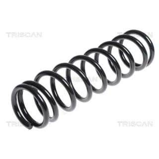 Triscan Feder hinten Mazda Cx-7 2,3