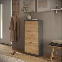 Vicco Schuhkipper Gizmo, Goldkraft Eiche/Anthrazit, 59 x 112 cm mit 3 Fächern (1 St)
