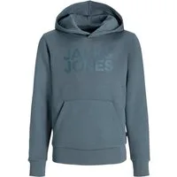 Jack & Jones Junior Sweatshirt JJECORP LOGO SWEAT HOOD SN MNI